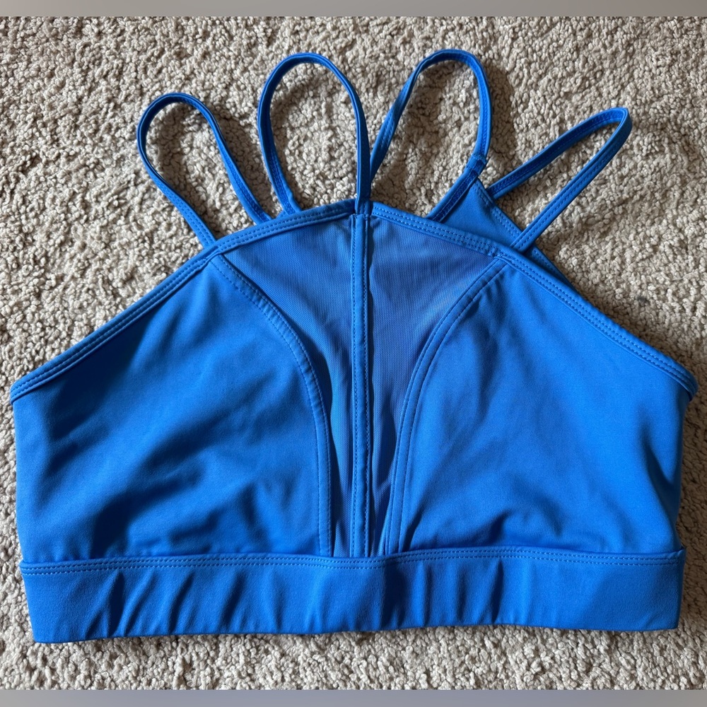 Cleo Harper Vibrant Blue Activewear Bra